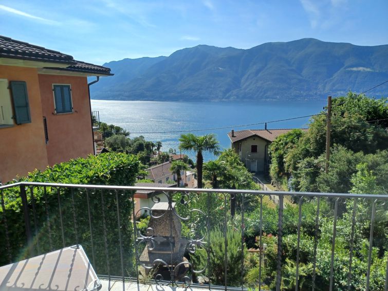 Mulino Vecchio - 5A56365000C61EEE84CF2DF93752C9EA