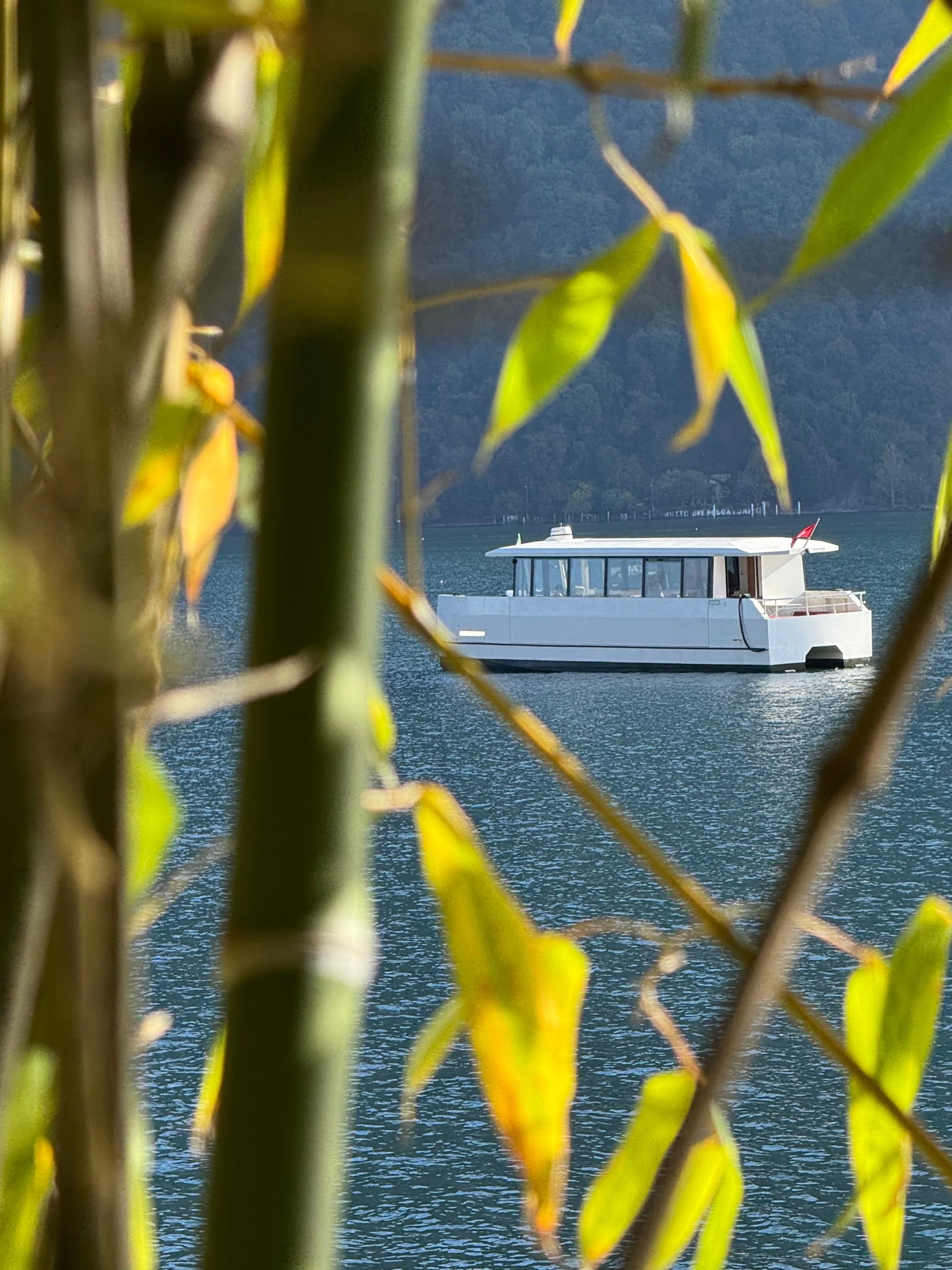 mys-Allegra - Crociere Lugano-Melide Ice e tour panoramici di 1 ora (Melide) -Allegra