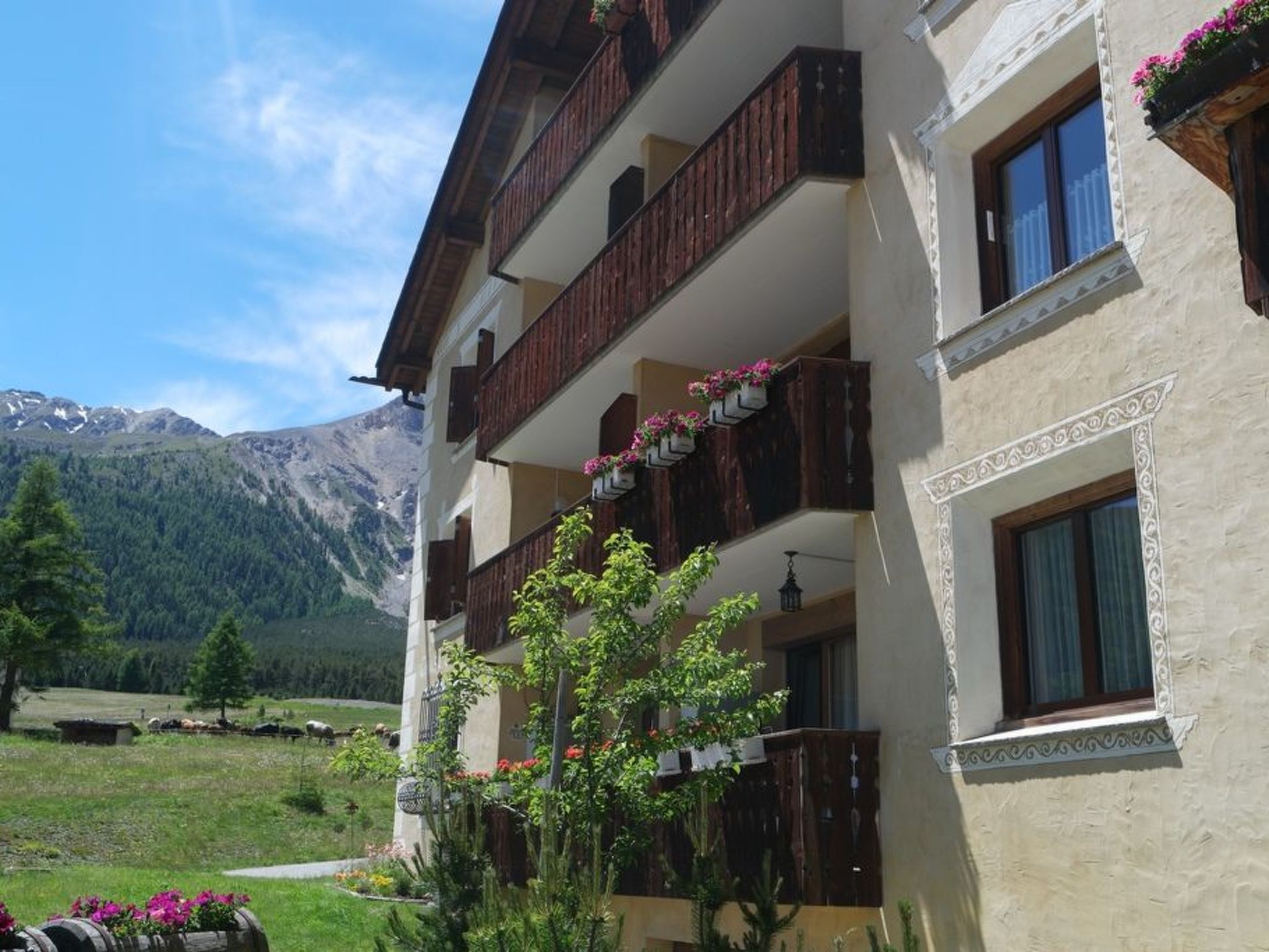 interhome-Chasa Grava 28, (Tschierv)