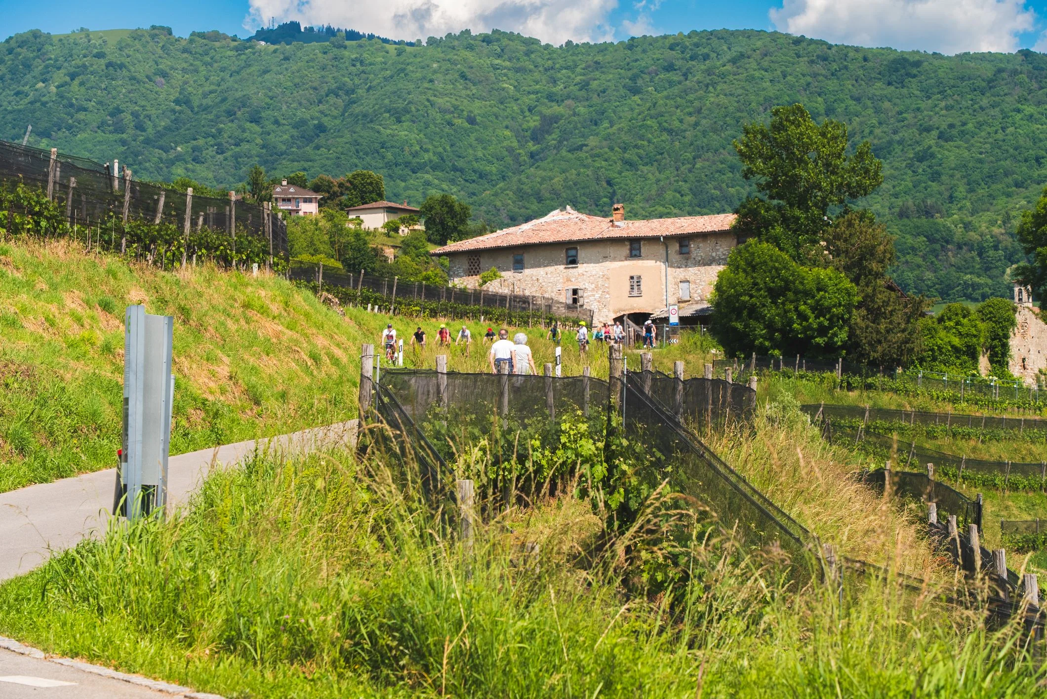 mys-Bike'n'Wine Mendrisiotto-Bike'n'Wine