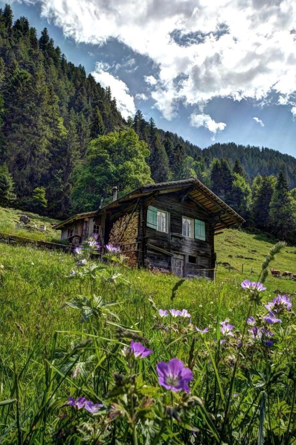 interhome-Kirschbaumhütte