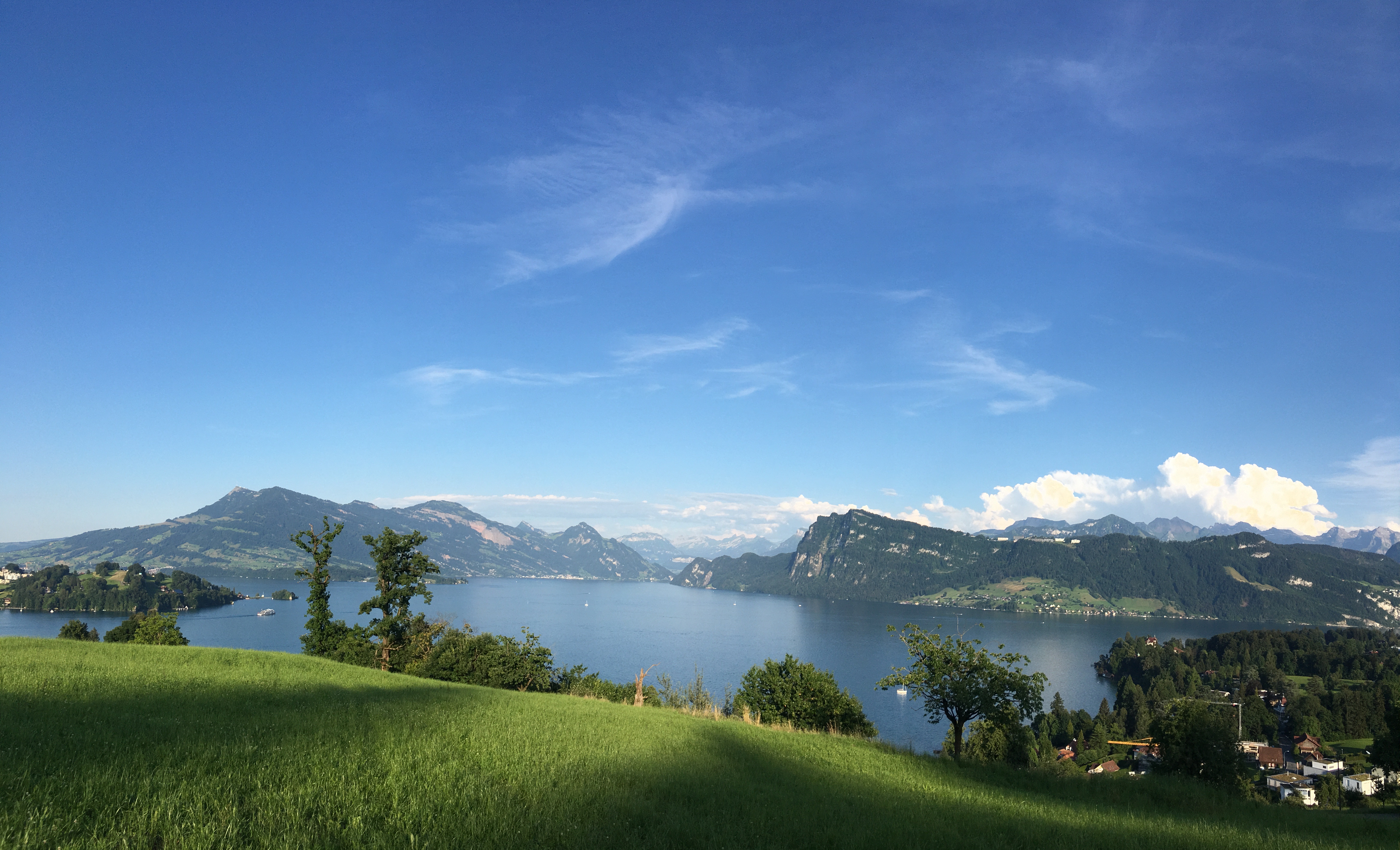 Blick vom Bireggwald in Richtung Rigi und Bürgenstock.