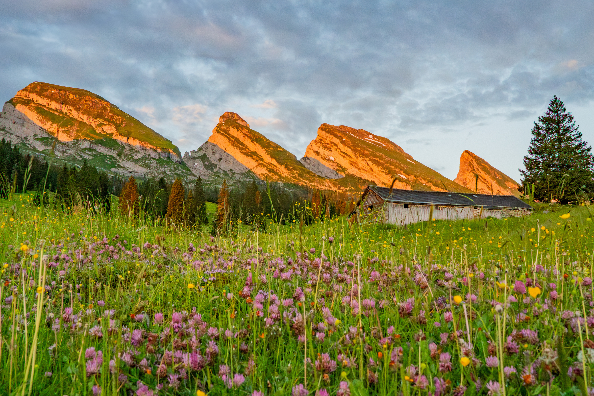Sonnenaufgang bei Churfirsten auf dem Chäserrugg 