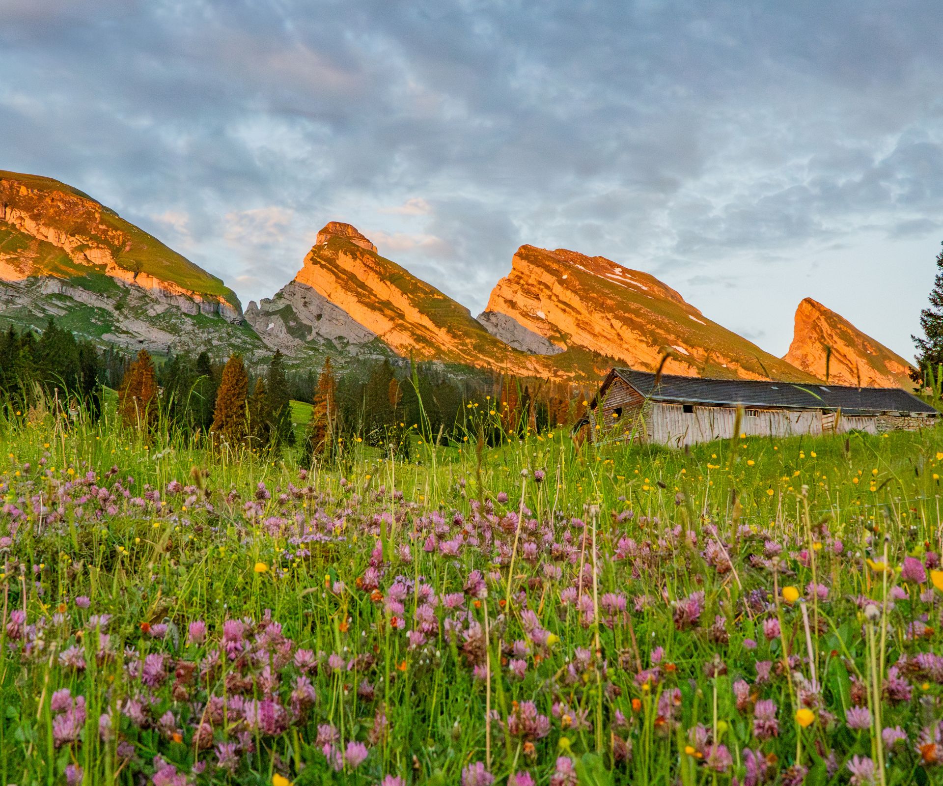 Sonnenaufgang bei Churfirsten auf dem Chäserrugg