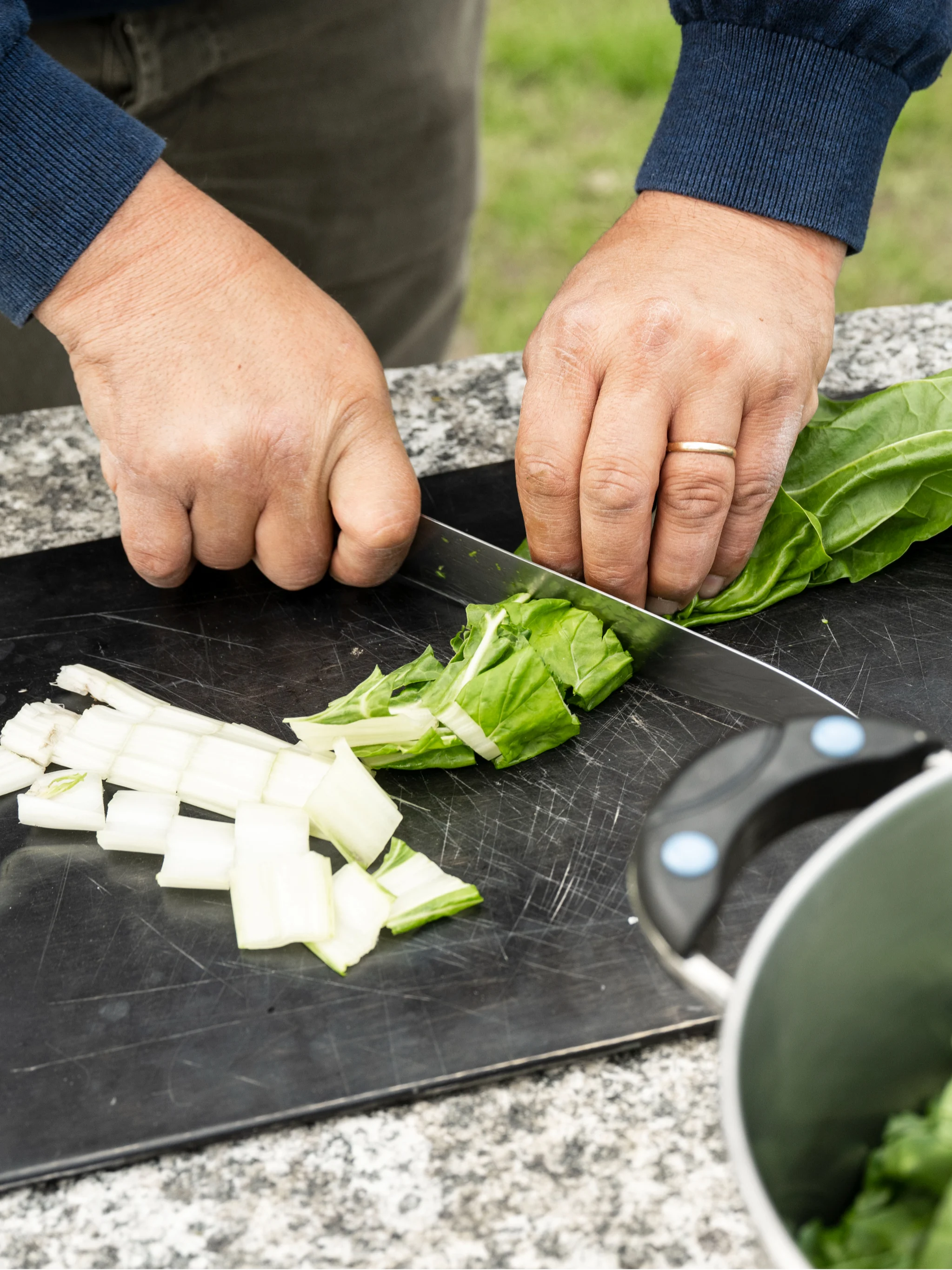 mys-Dalla Terra al Piatto – Un’Esperienza di Raccolta e Cucina alla Fattoria Biologica CatiBio-CatiBio-Agriesperienza_2