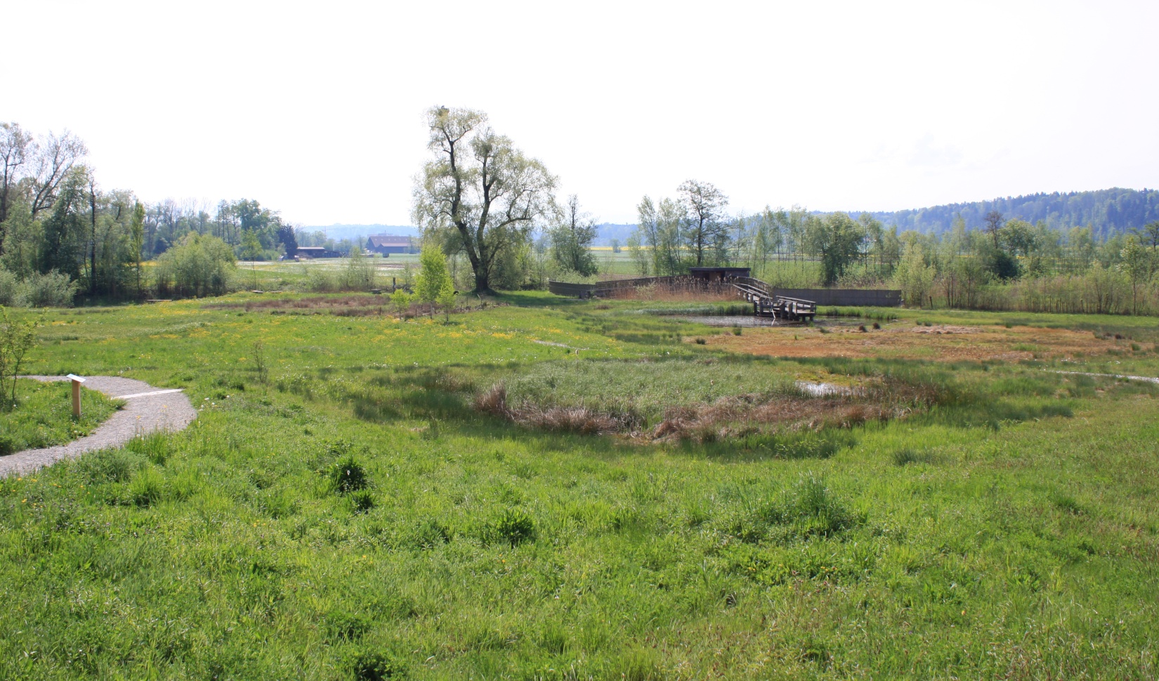 Naturstation Silberweide