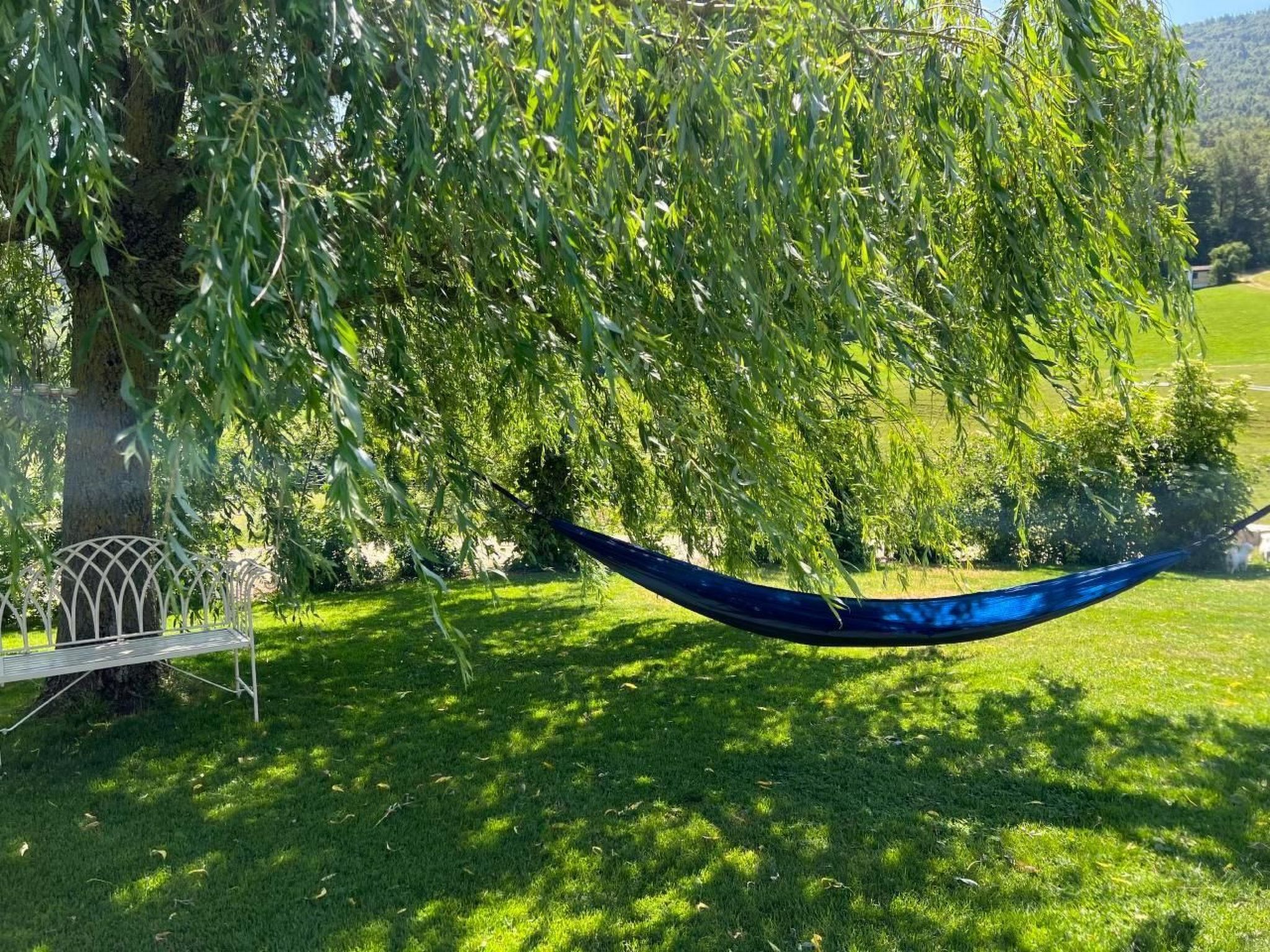interhome-Schafmatthof Dachwohnung