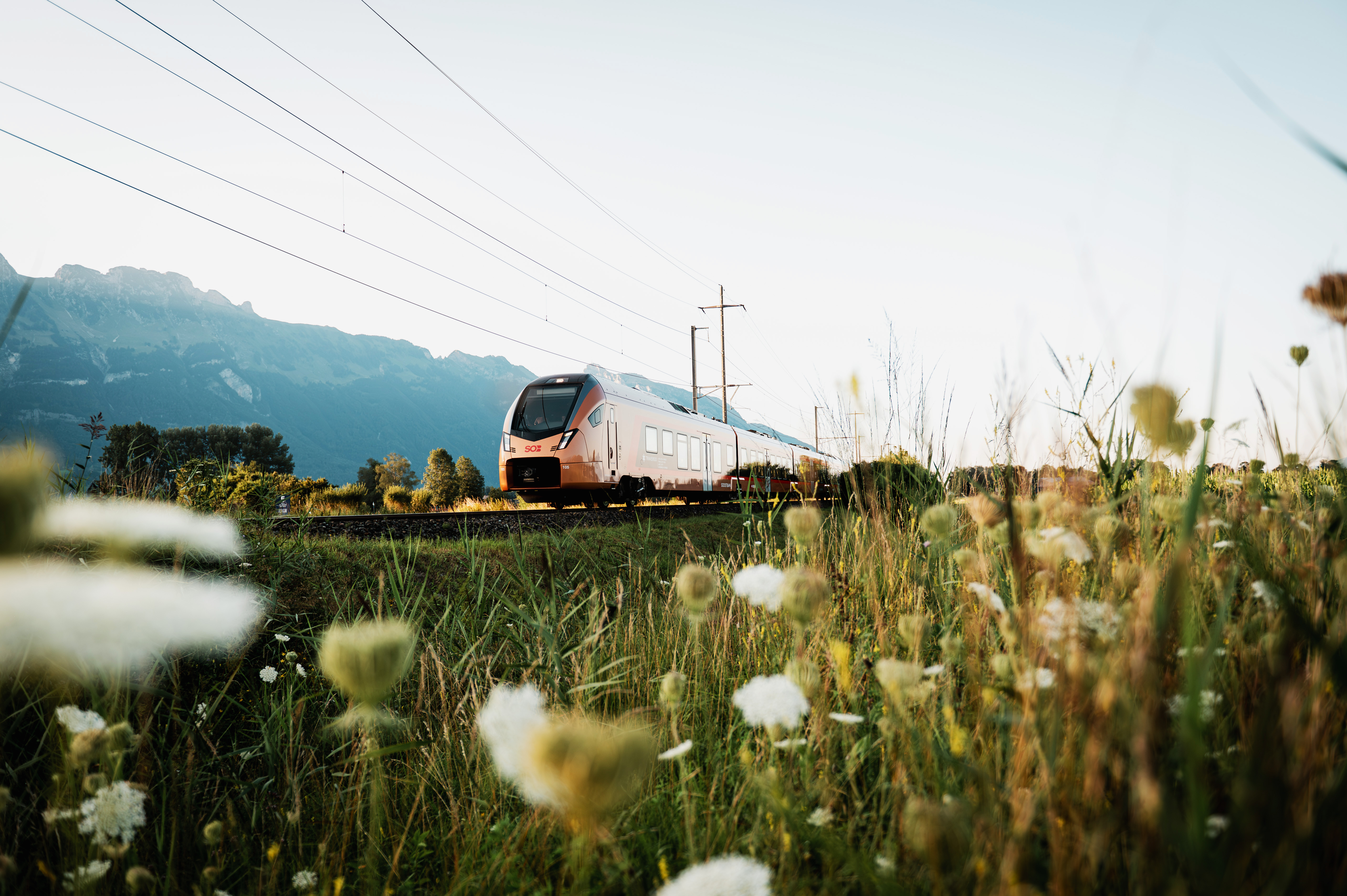 Alpenrhein-Express ARE - Rheintal - Sommer