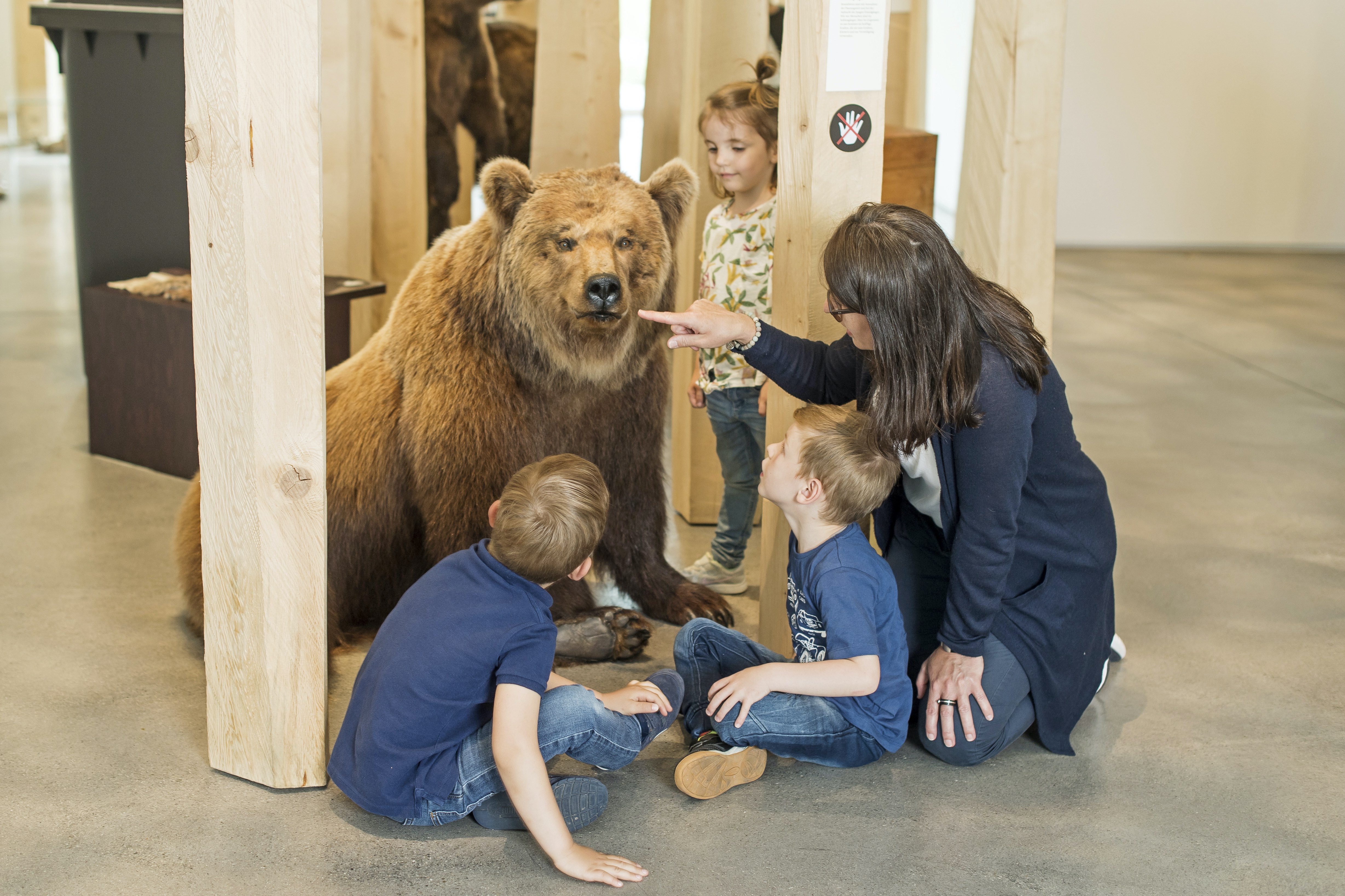 mys-Familieneintritt mit Kinderparcours «Familienbande» im Naturmuseum St. Gallen-Wie geht es bei Familie Bär zu und her?