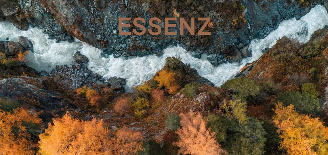 Essenz Coverbild Herbst 2020