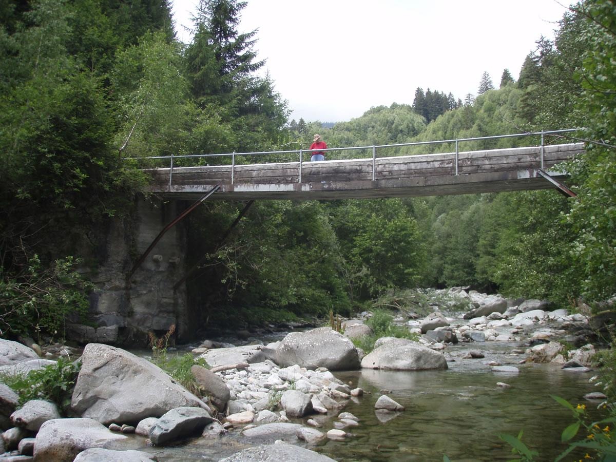 Vorderrheinschlucht bei Sontga Gada
