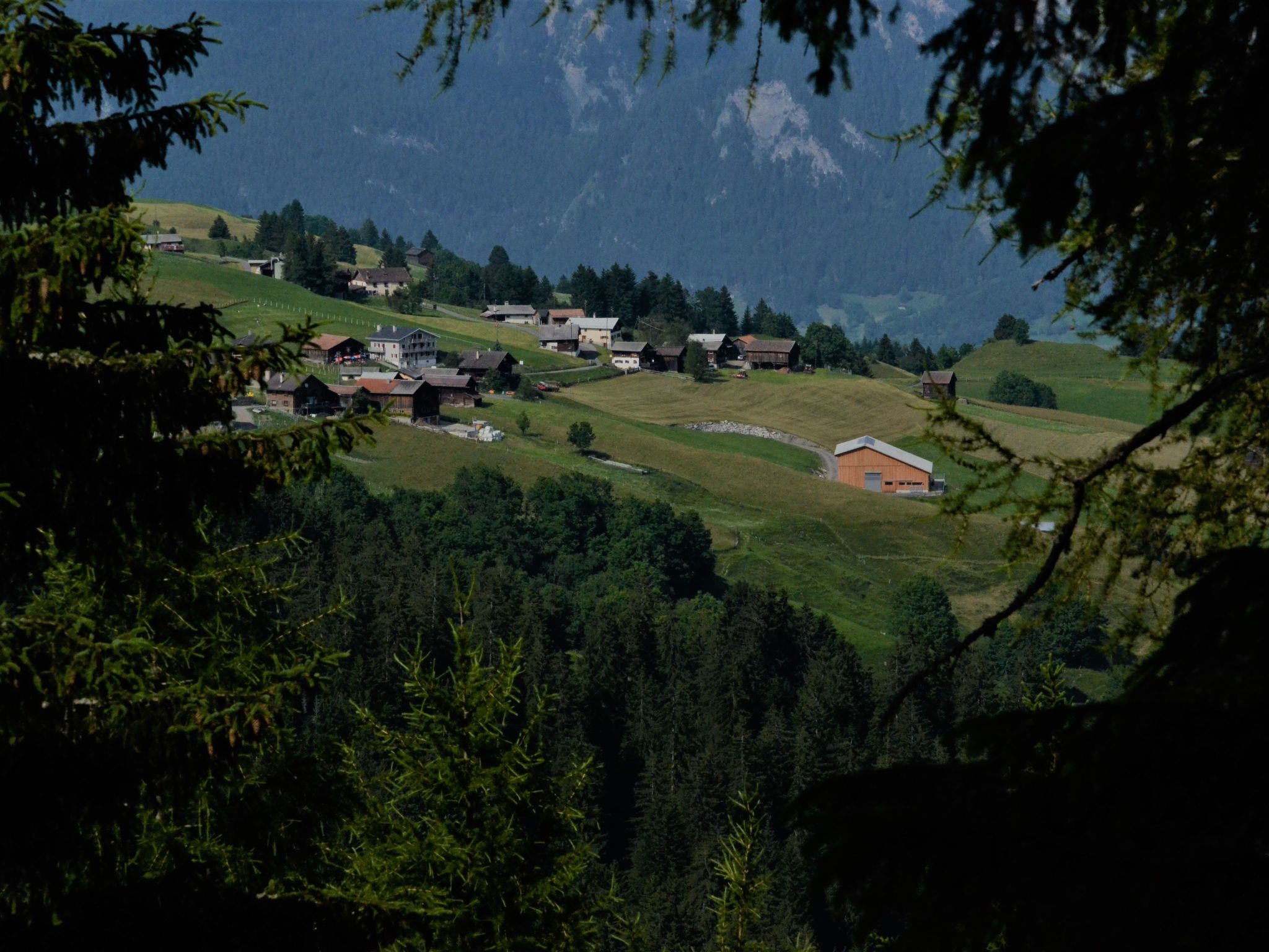 interhome-Hof Beeli, (Tschappina),