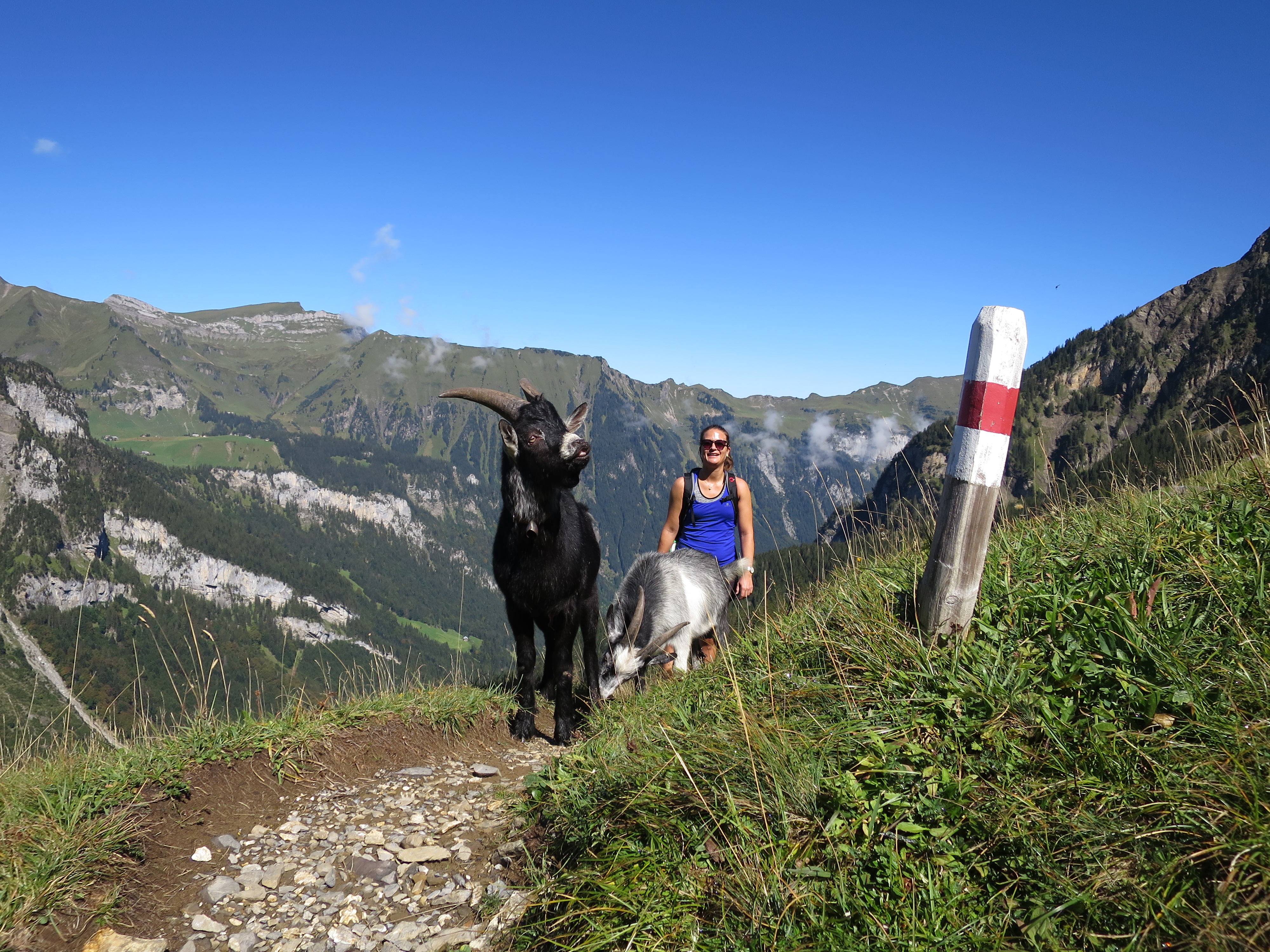mys-Honigberg.ch-Honigberg.ch - AEC524D5-6102-4A8E-A077-90C20D5A38FD.jpeg