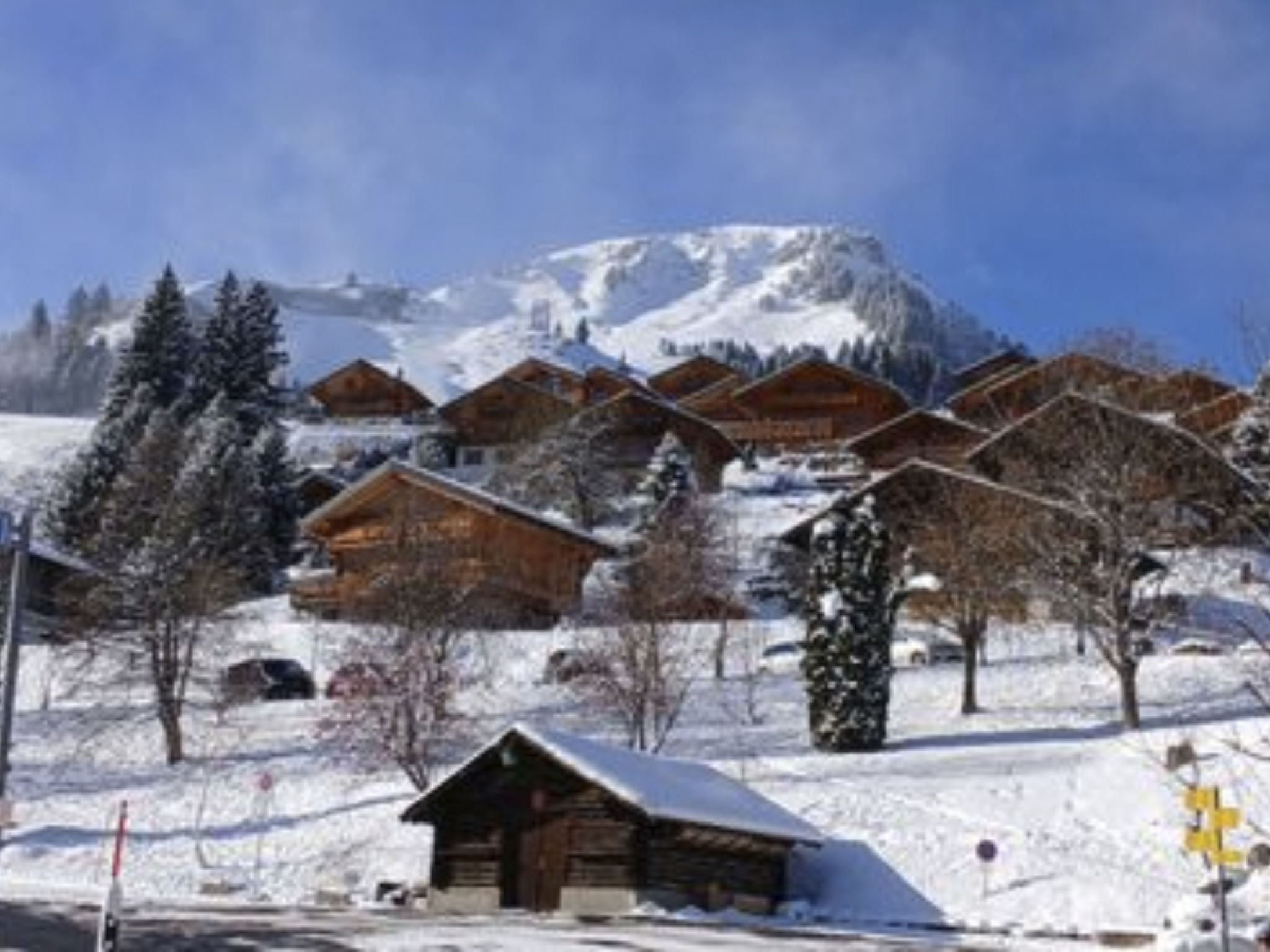 interhome-Chalet Iris, appartement N°6, (Champoussin),