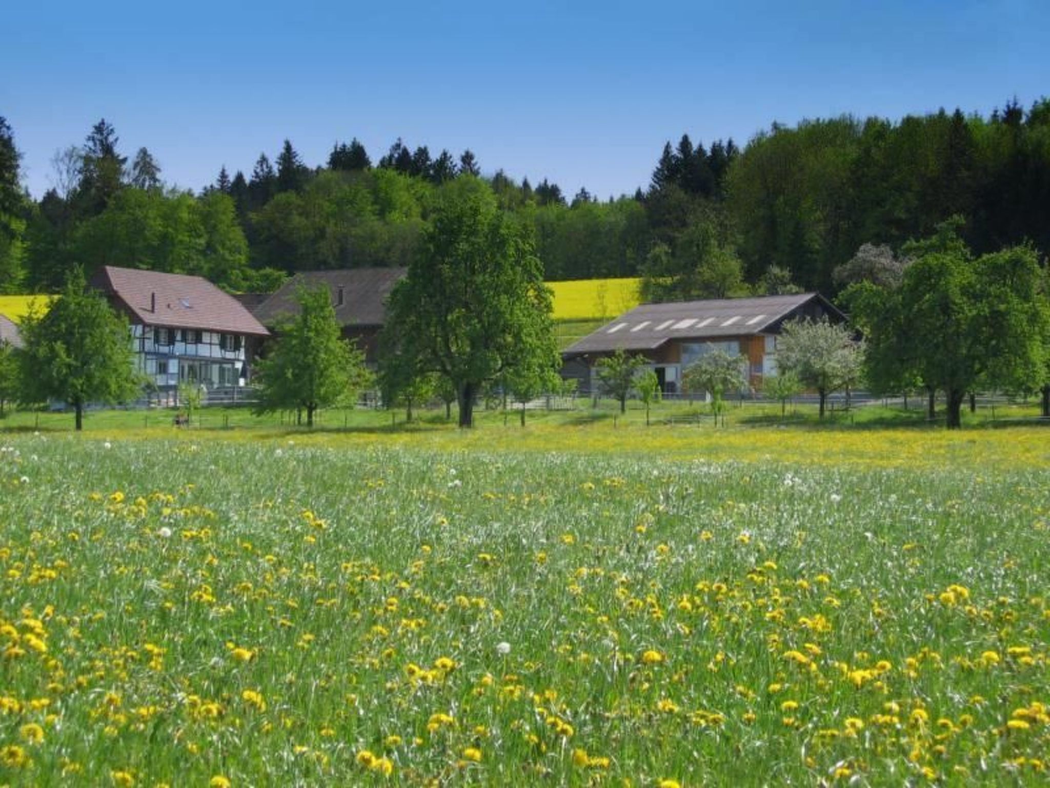interhome-Tieroase Grünegg