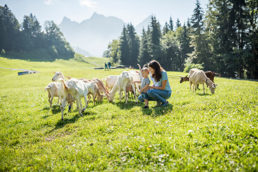 mys-Themen- und Erlebnisweg «Geissä Wäg» auf dem Sattel-Hochstuckli-_DSC3218_web.jpeg