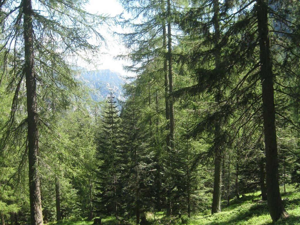 Réserve forestière Arena