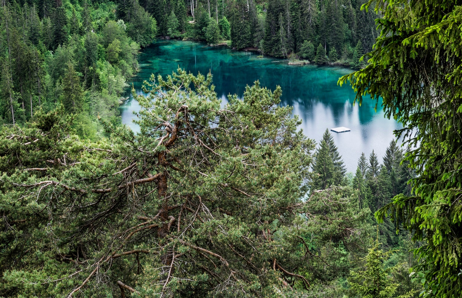 Crestasee