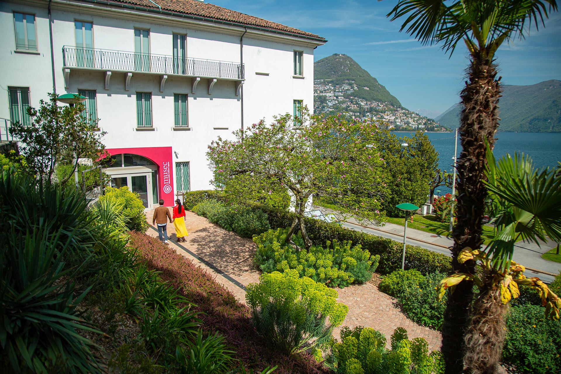 View of MUSEC
