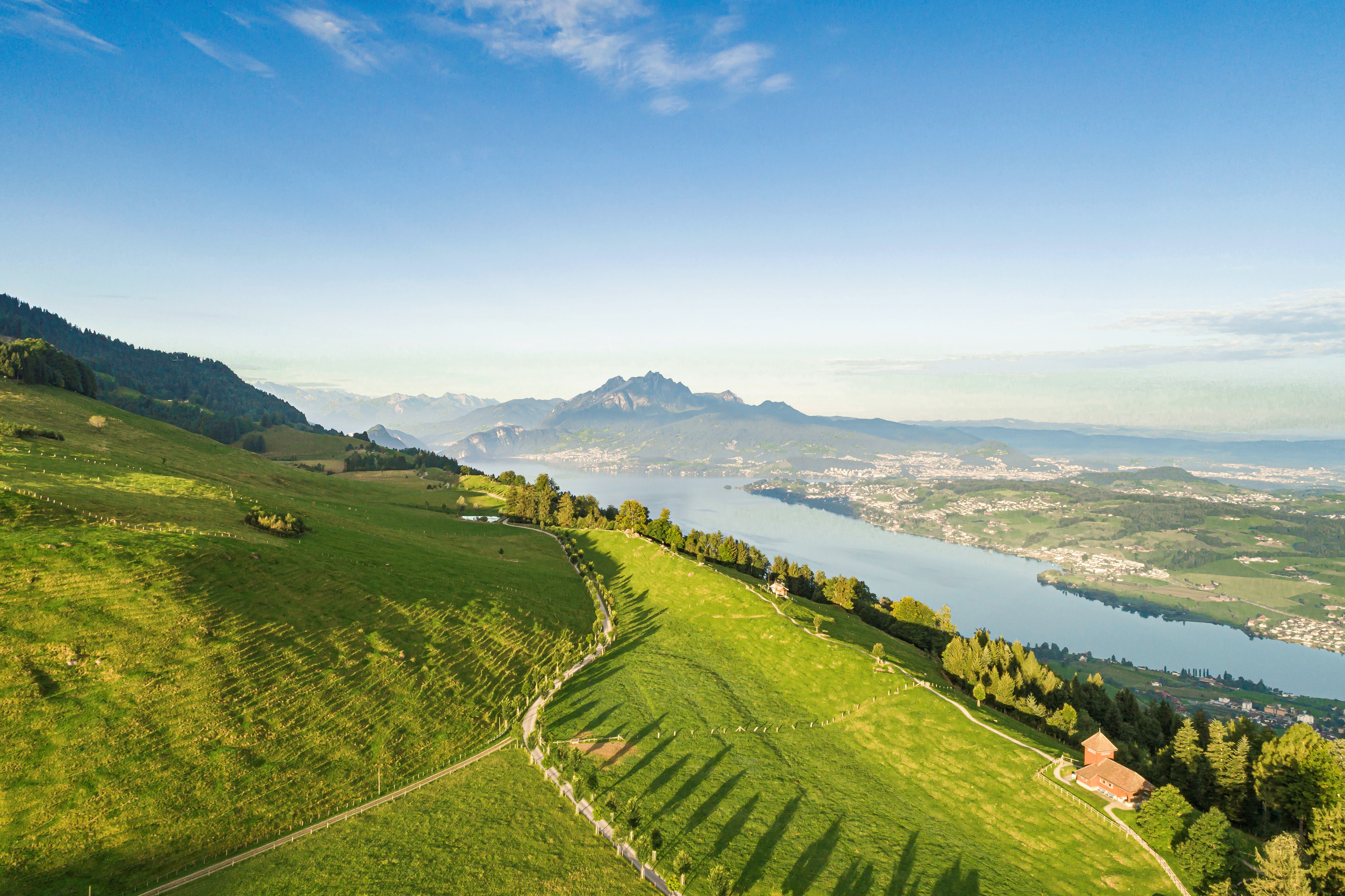 Vue estivale depuis la Seebodenalp, au-dessus de Küssnacht am Rigi, sur le lac des Quatre-Cantons et le Pilatus, entourée de prairies verdoyantes et d’une lumière cristalline.