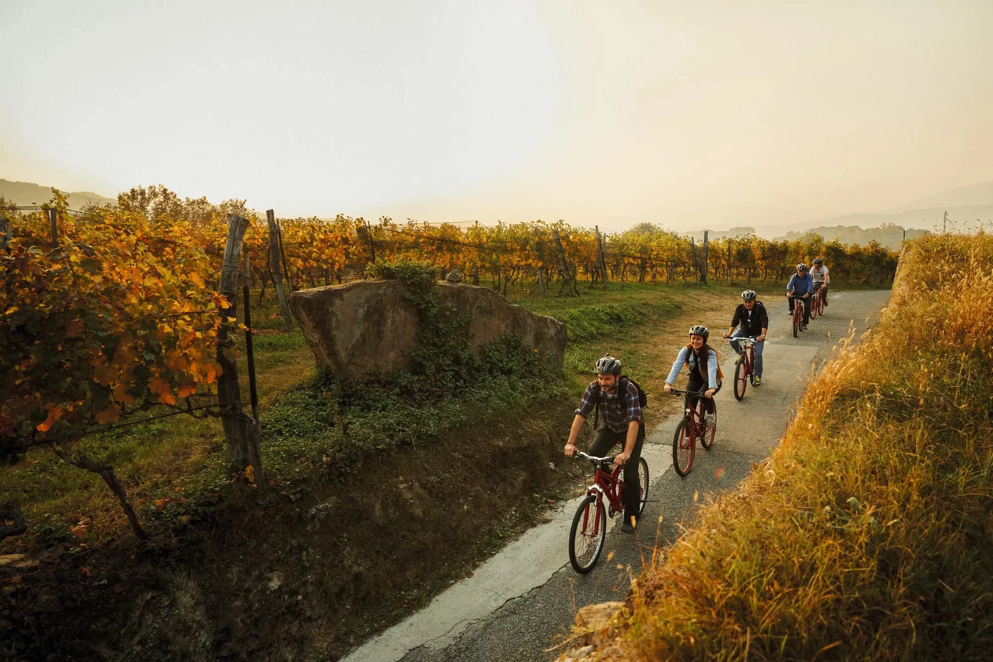 mys-Bike'n'Wine Mendrisiotto-Bike'n'Wine Mendrisiotto