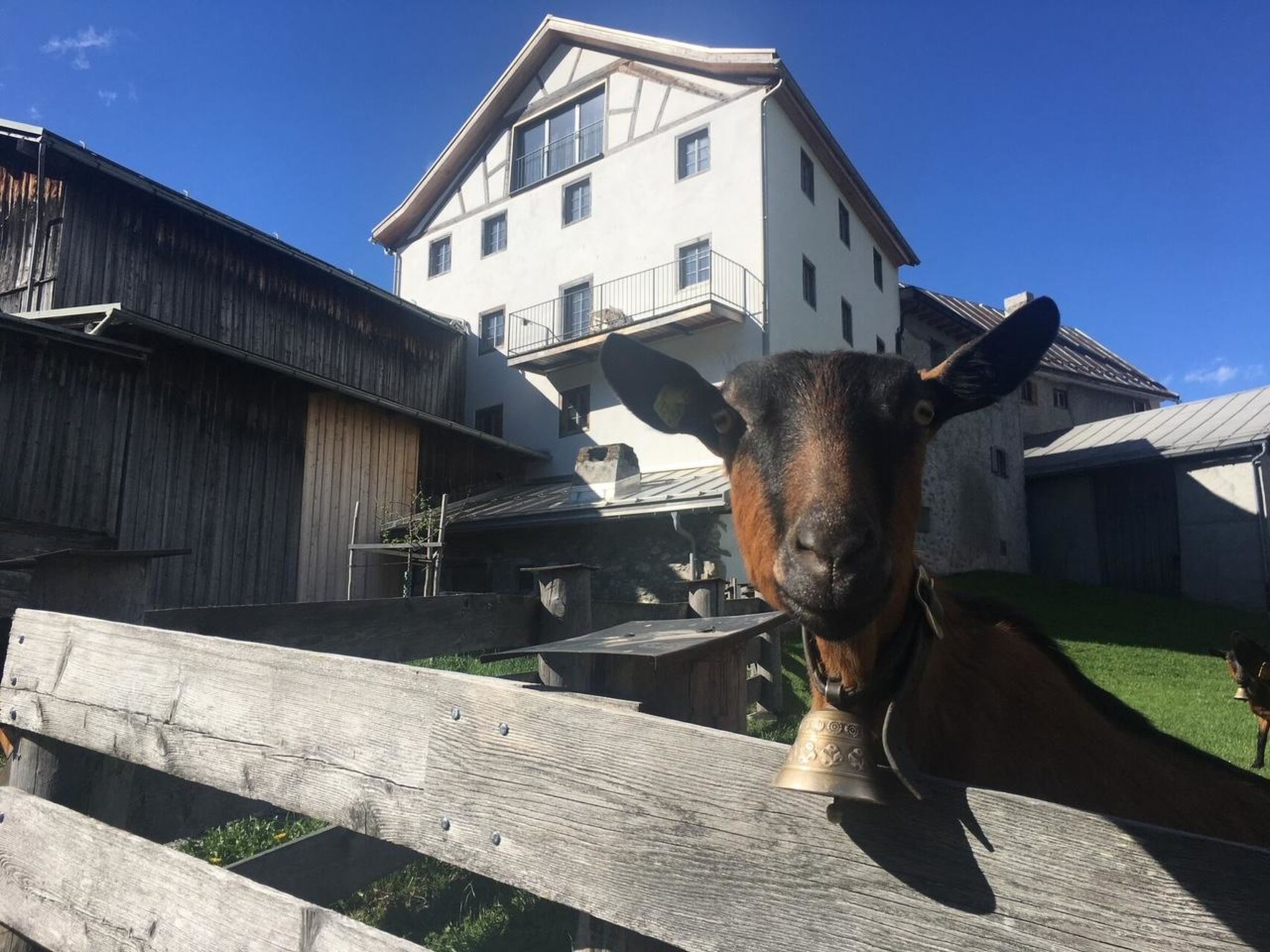 interhome-Tgesa Antgerna Appartement/Fewo, Bad, WC, 4 oder mehr Schlafräume