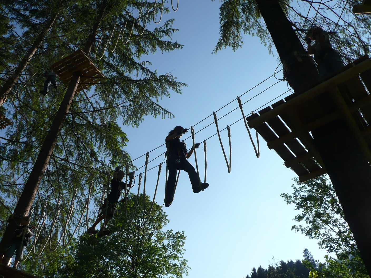 Seilpark Zweisimmen