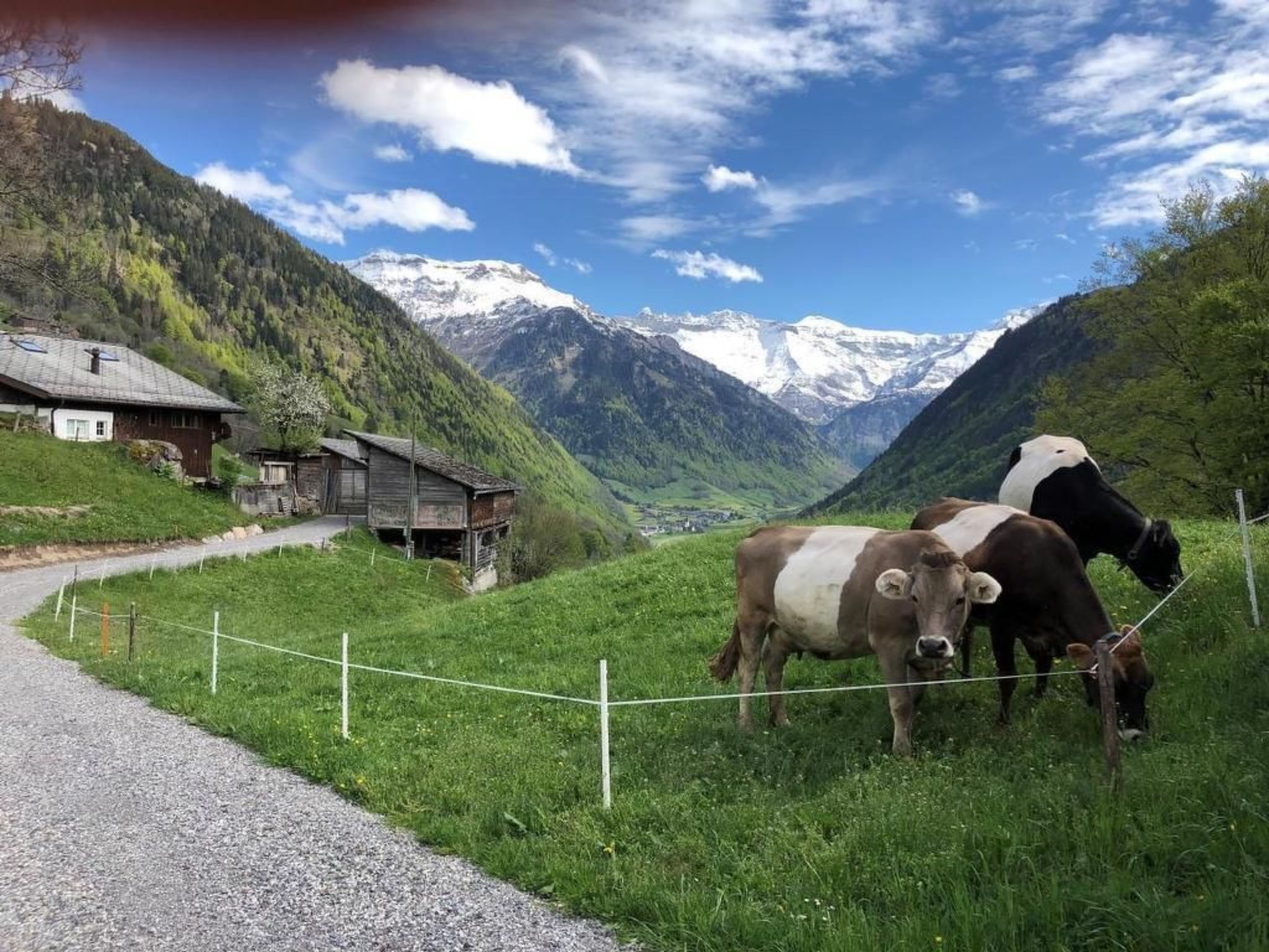 interhome-Berghof-Gufel