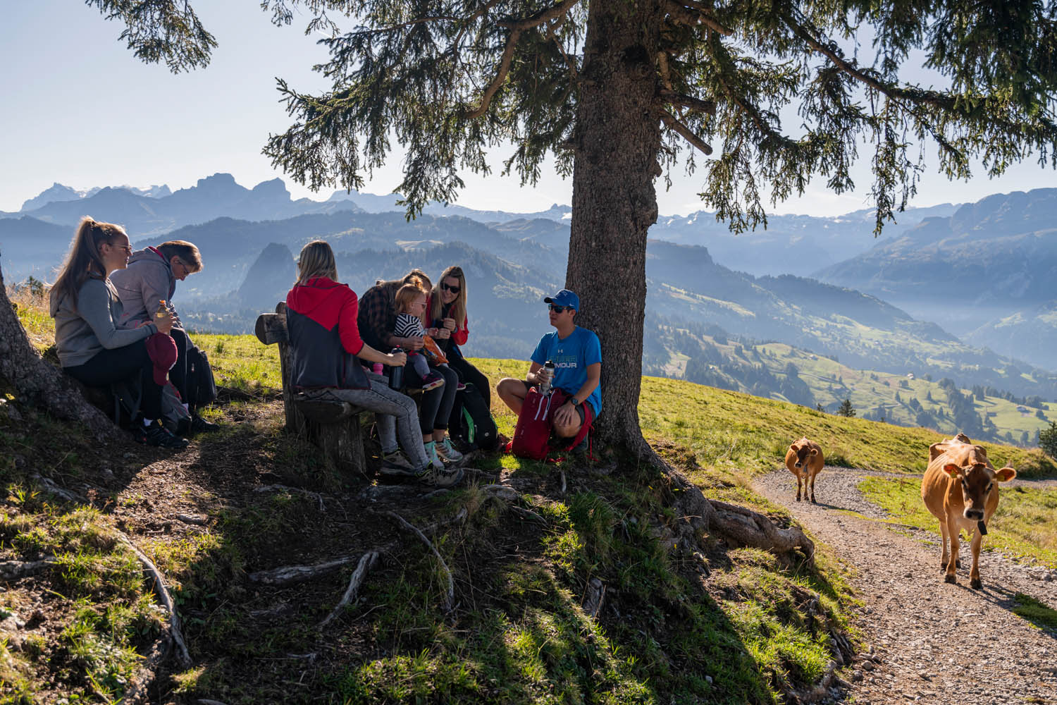 mys-Wander-Kombi «Moorwälder Ibergeregg»-Rothenfluh_Bahn__ZUE2761_(c)zuerrer_web.jpg