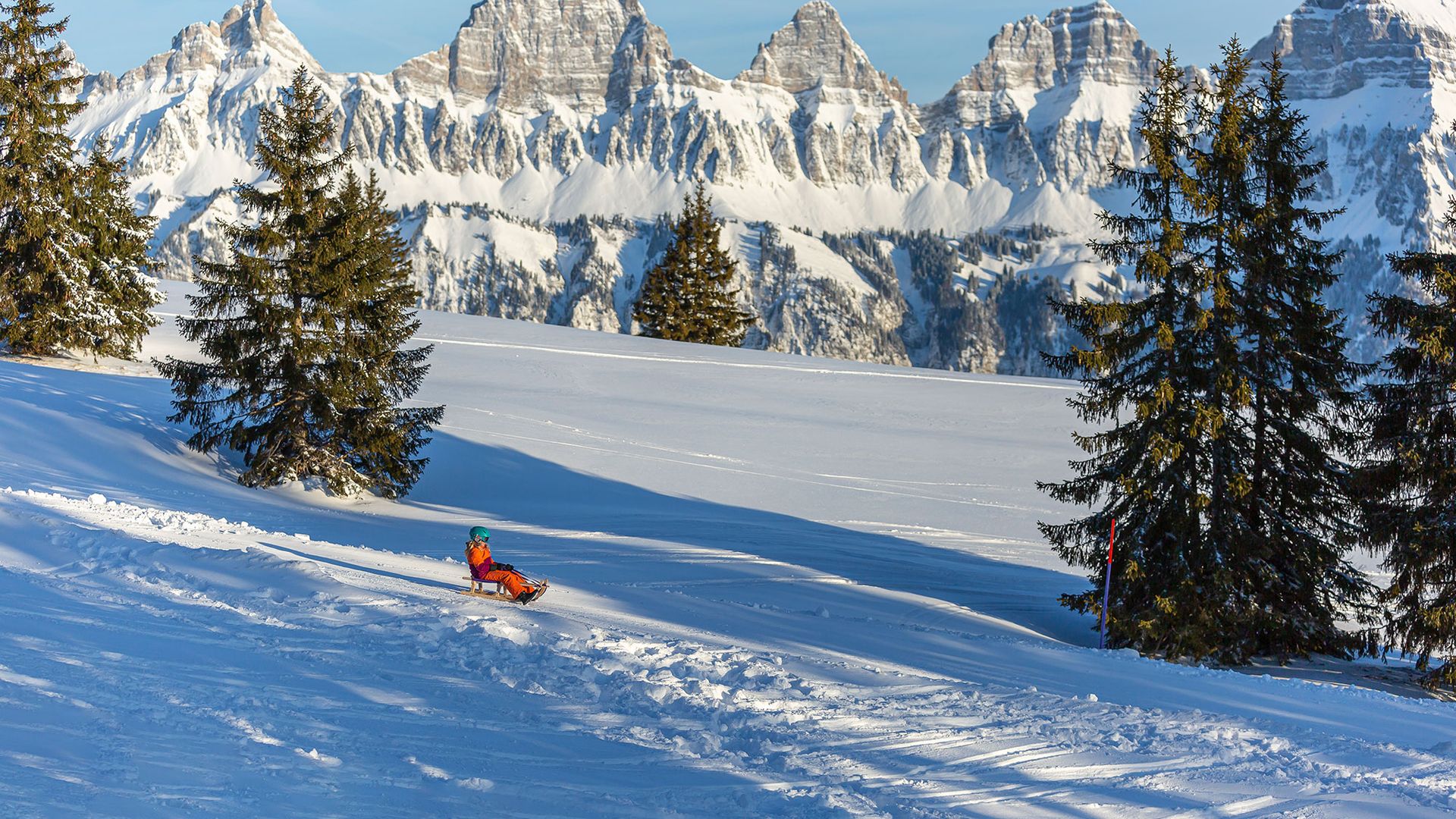 Bambino che slitta a Flumserberg con vista sulle montagne innevate dei Churfirsten.