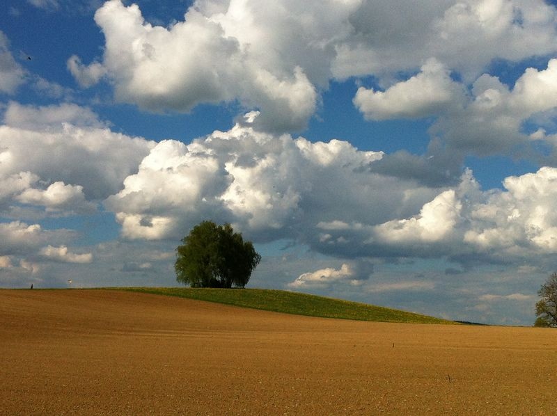 Hochwacht