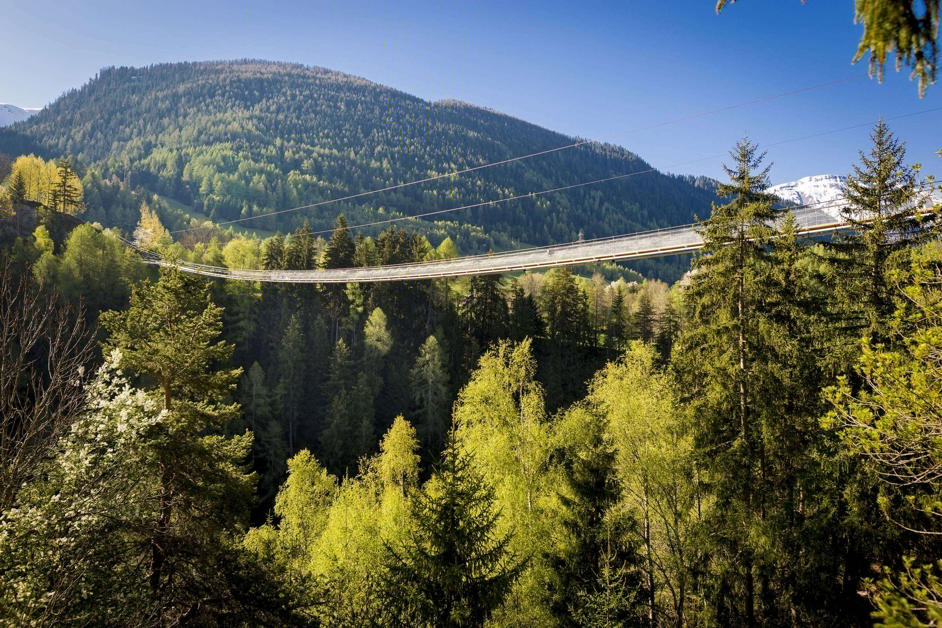 DFB-Bellwald-1