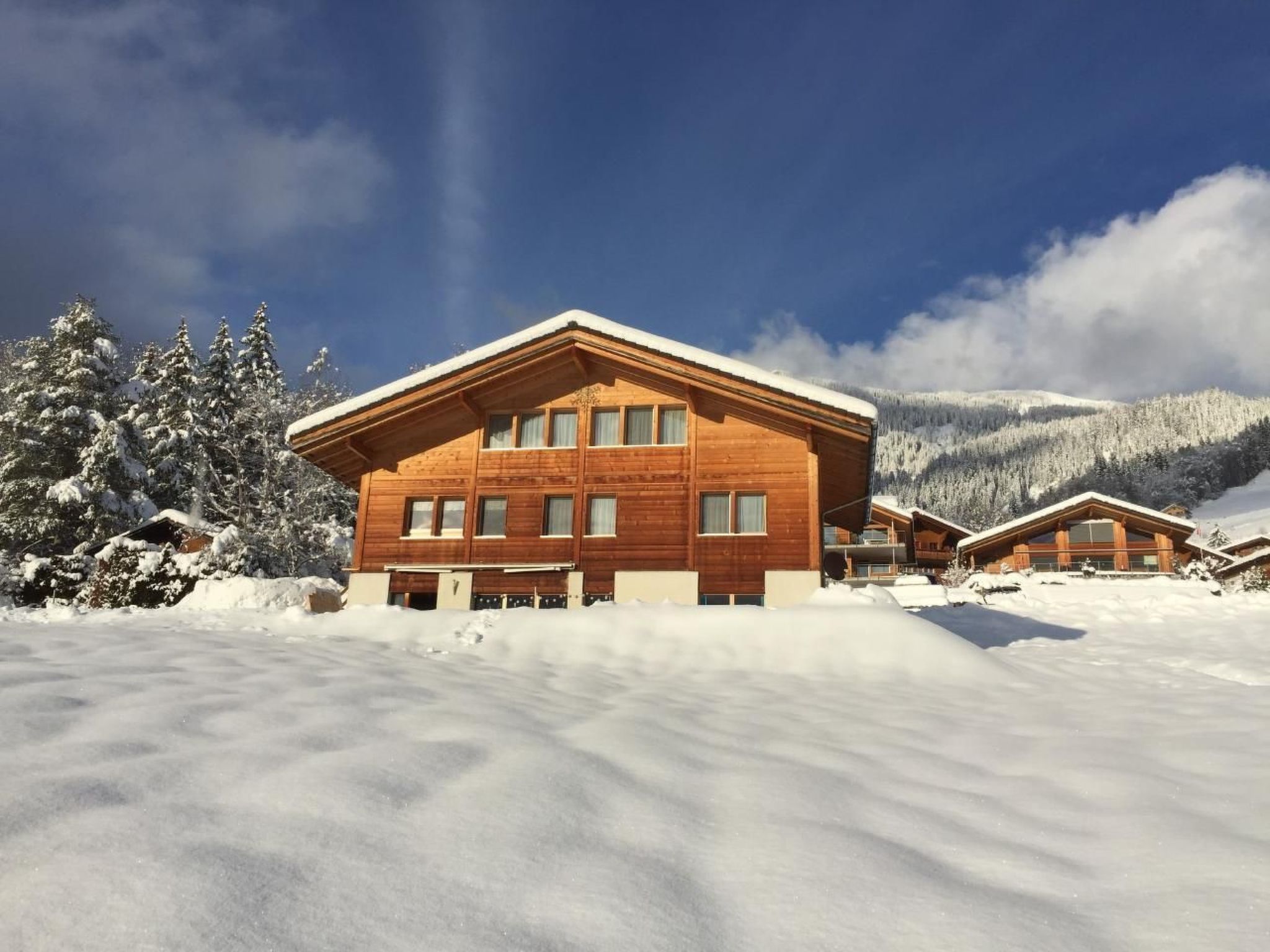 interhome-mit Bergblick