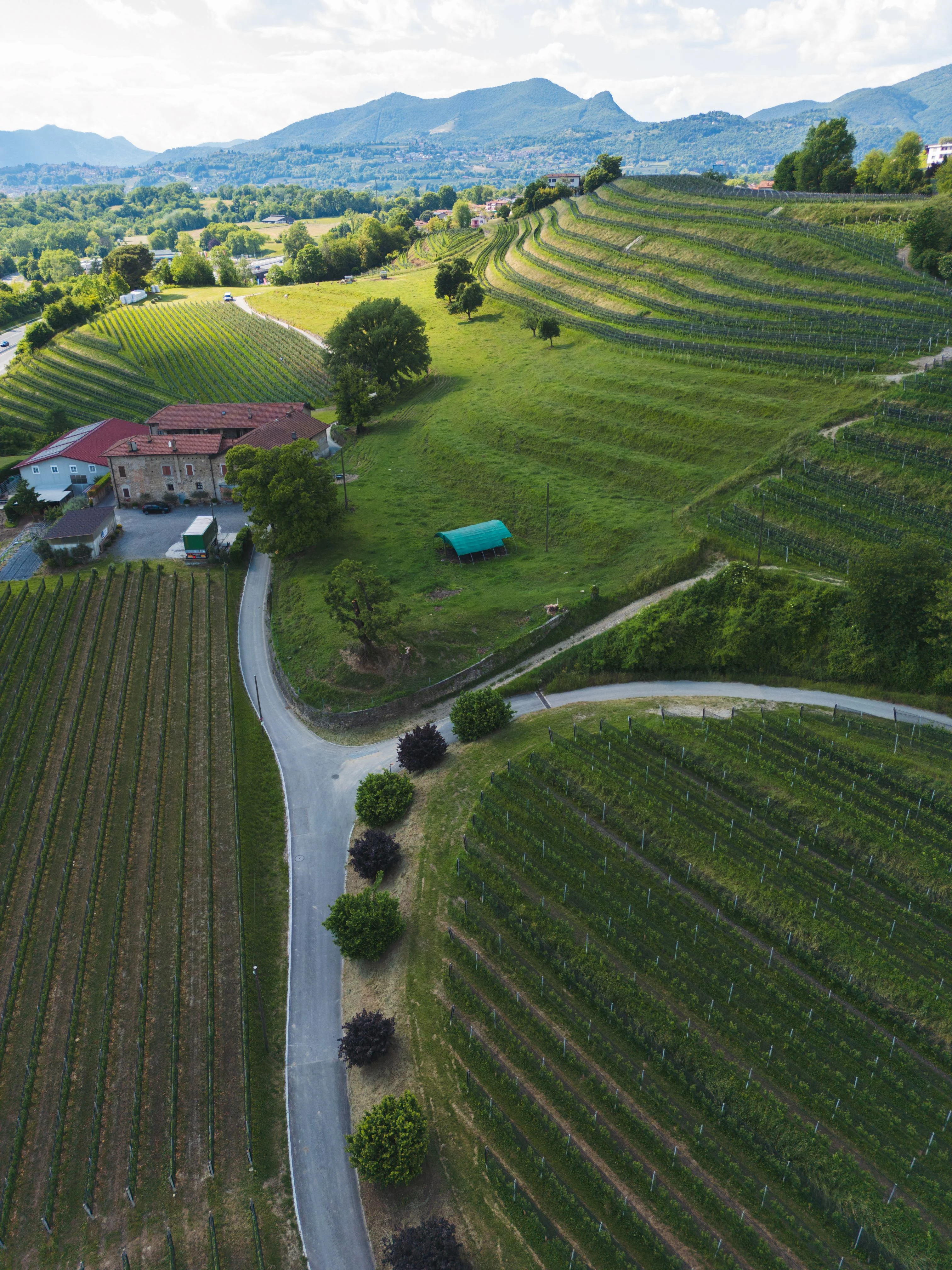 mys-Bike'n'Wine Mendrisiotto-Bike'n'Wine