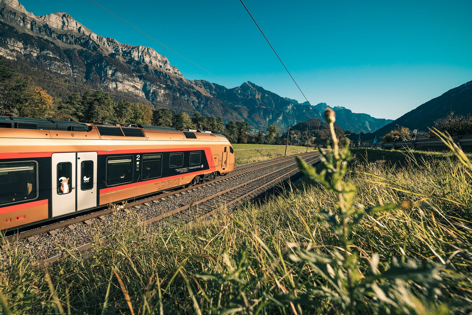 Aare Linth am Walensee