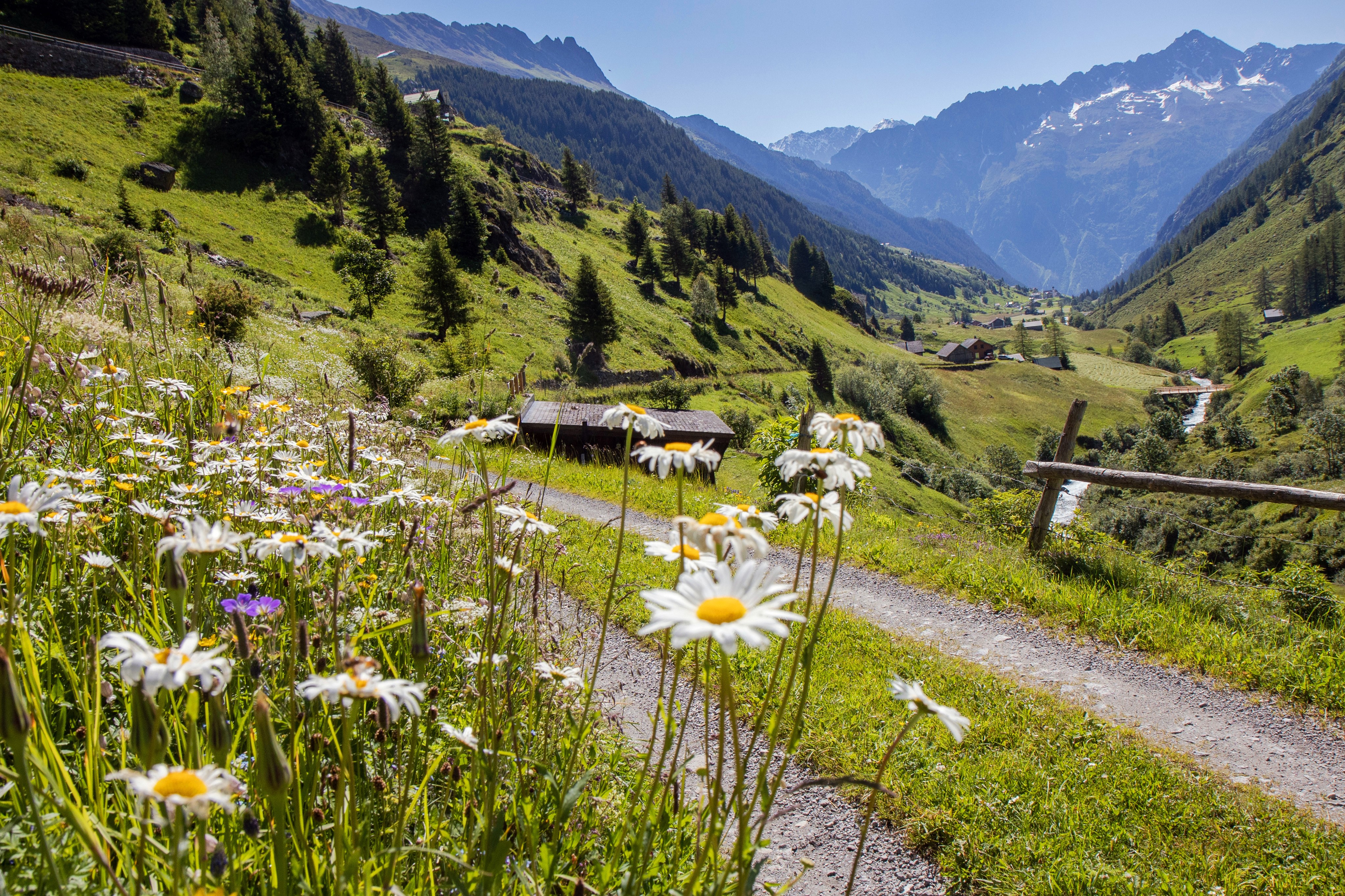 mys-Yoga Nature Plaisir-Meiental