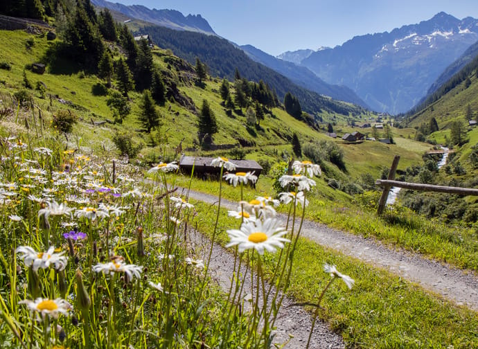 mys-Natur Yoga Genuss-Meiental