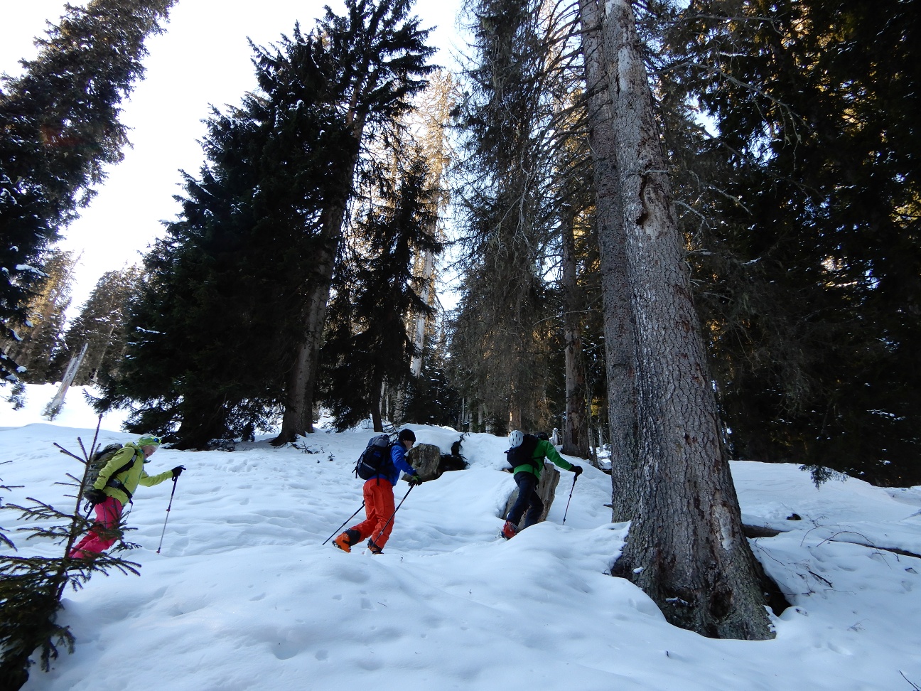 Vanatsch