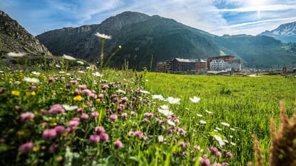 Andermatt Alpine Apartments