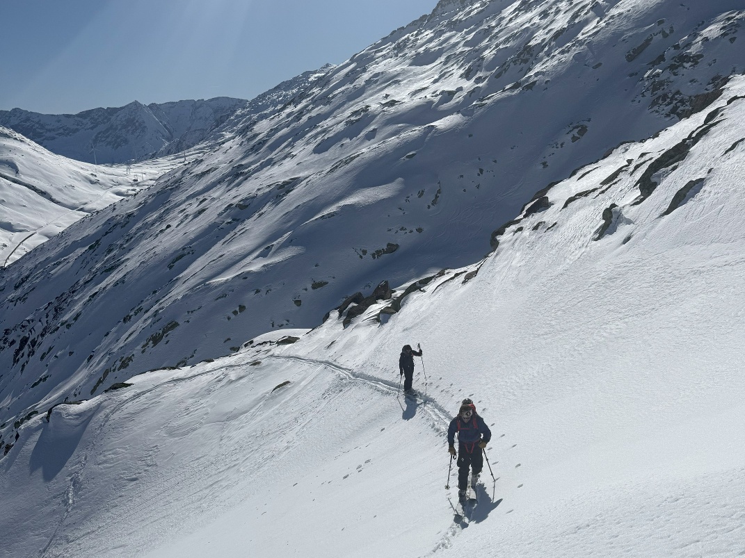 Corne d'hiver