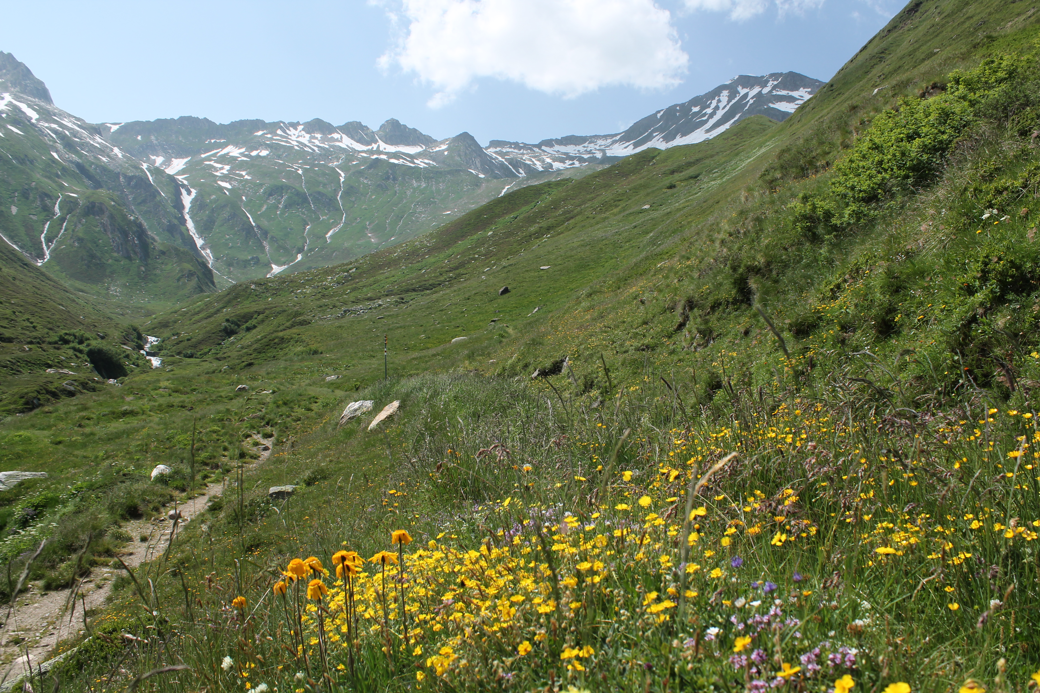 Lai Blau am Lukmanierpass