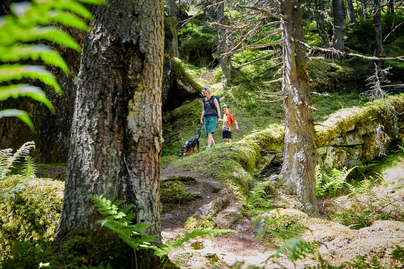 Escursione ad anello Regliberg
