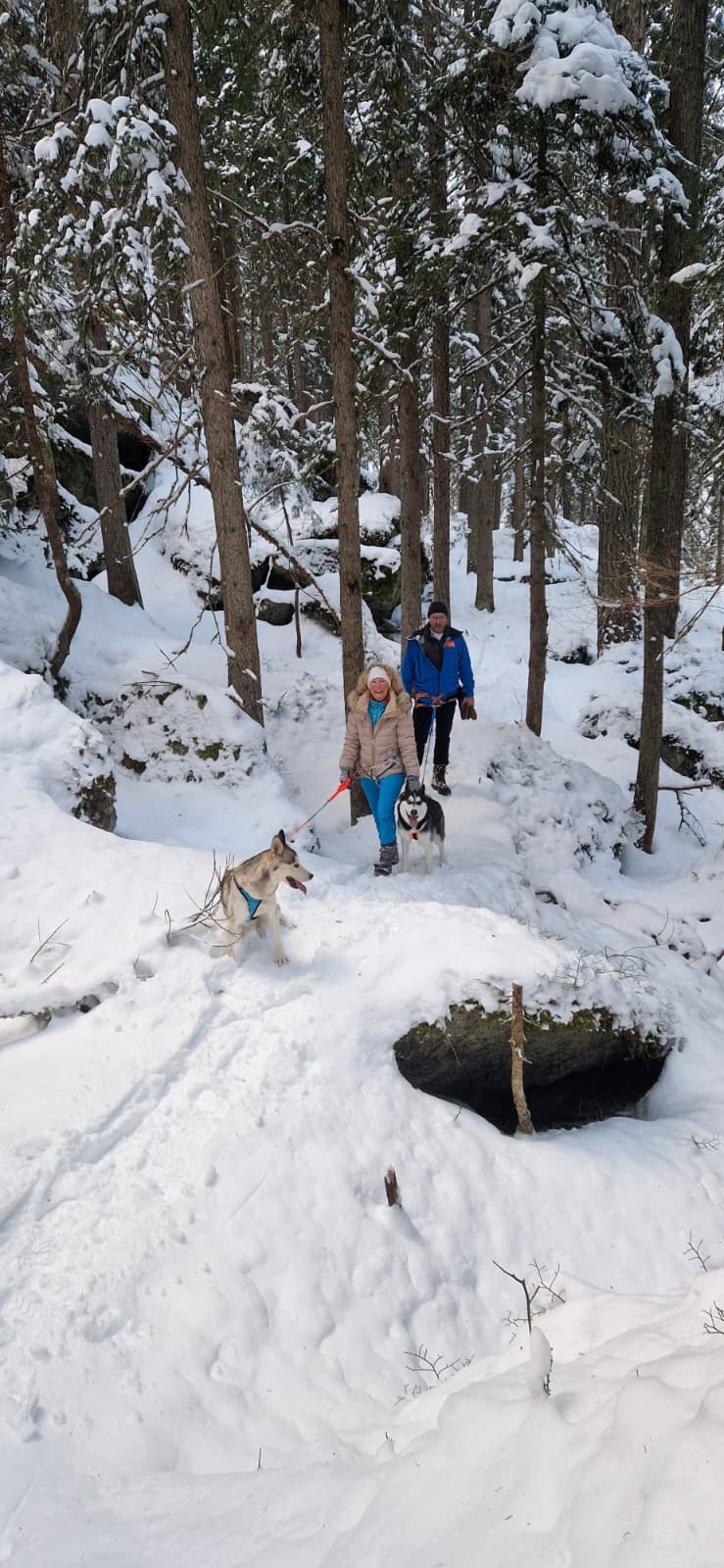 mys-Randonnée en raquettes avec des huskies-Schneeschuhtour