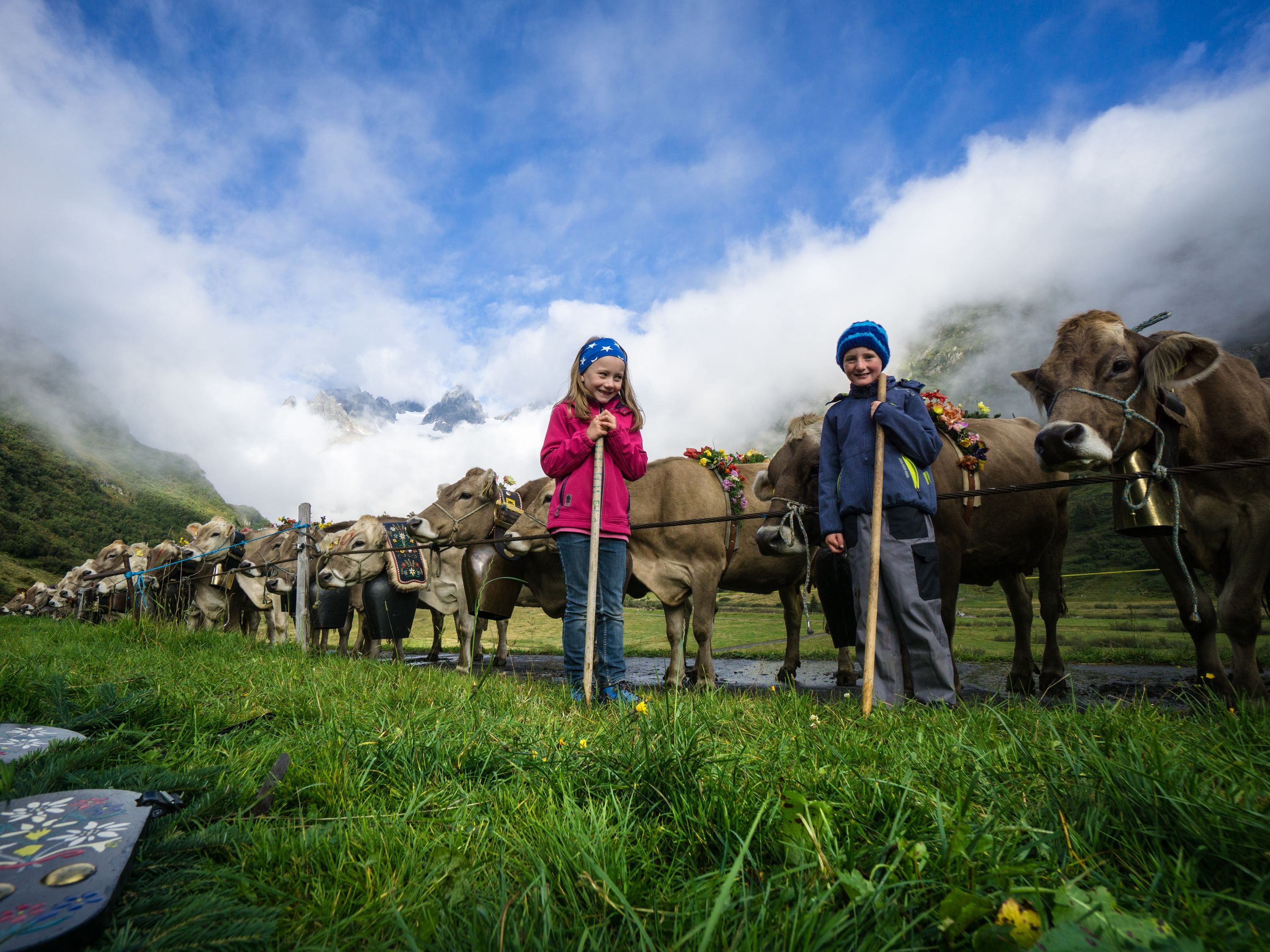 mys-Alp Hinterfeld-Alp Hinterfeld