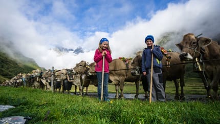 mys-Alp Hinterfeld-Alp Hinterfeld