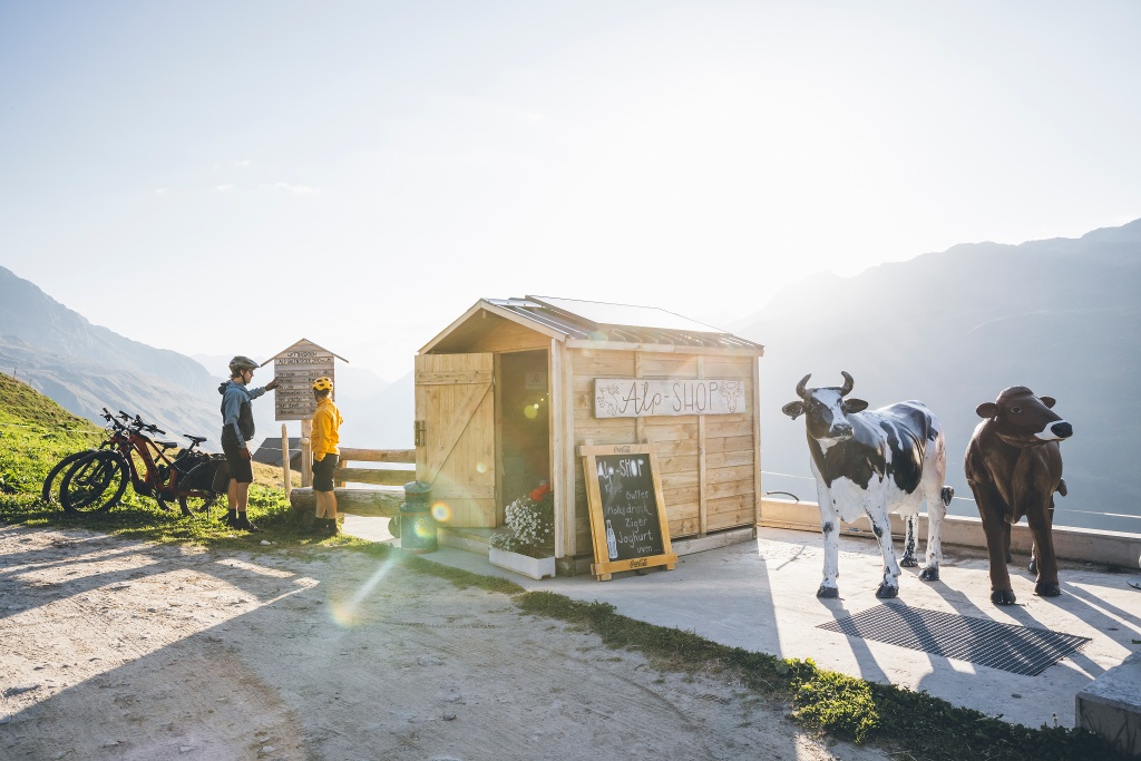 Glacier Bike Tour 8. Andermatt – Ulrichen
