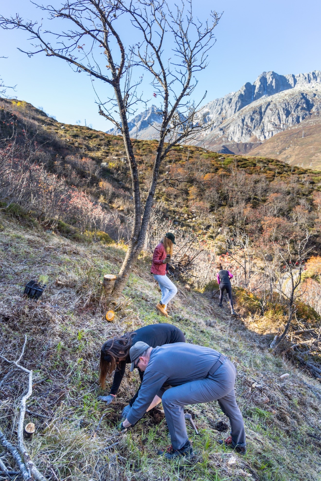 Wald und Klima Ursern - Waldeinsätze in Hospental 