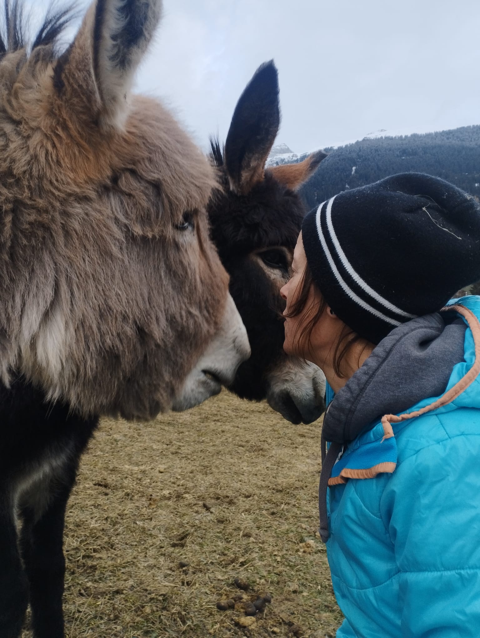 mys-Visita alla fattoria-Besuch auf dem Bauernhof Sandra Flepp