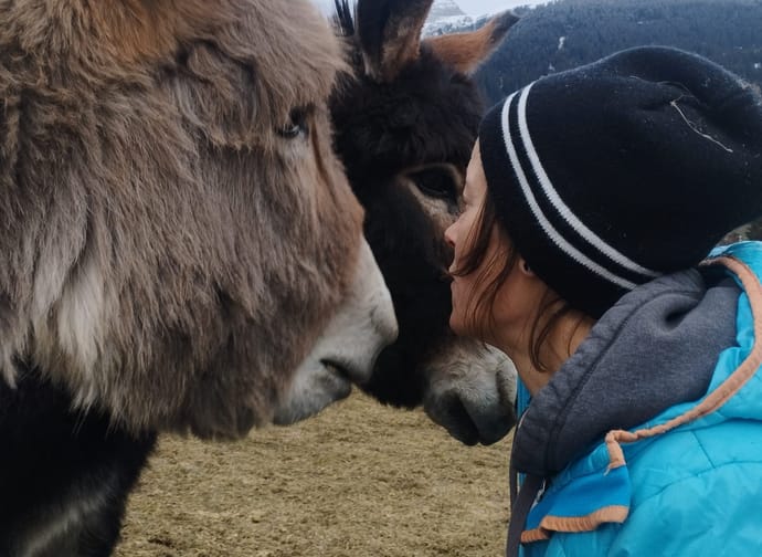 mys-A visit at the farm-Besuch auf dem Bauernhof Sandra Flepp