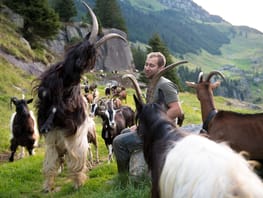 mys-Paradiso delle capre Göscheneralptal-Christian Näf mit Geissen Paradiso delle capre Göscheneralptal